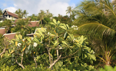 Similar image 6444957