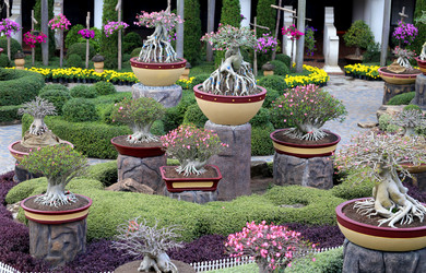 Similar image 6444958