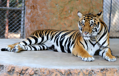 Similar image 6444962