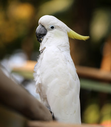 Similar image 6444963