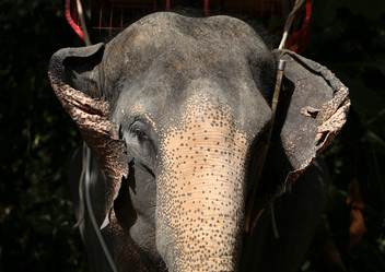 Similar image 6444964