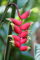 Similar image 6444965