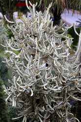 Similar image 6444969