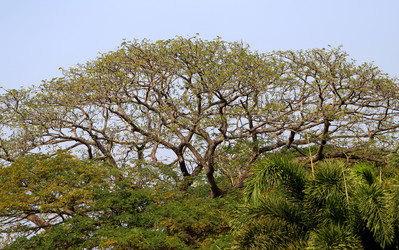 Similar image 6444970