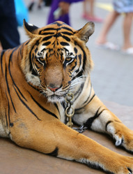 Similar image 6444973