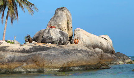 Similar image 6444974