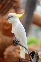 Similar image 6444975