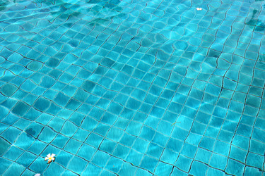 Similar image 6444979