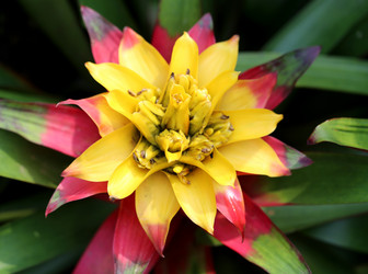 Similar image 6444982