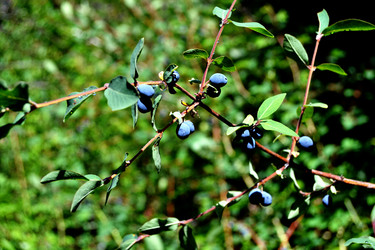 Similar image 6444994