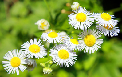 Similar image 6444999