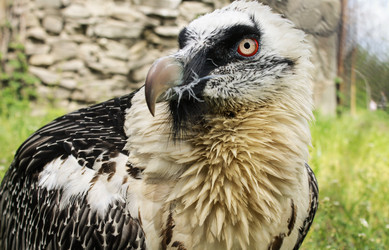 Similar image 6445001