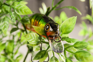 Similar image 6445059