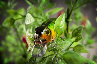 Similar image 6445060