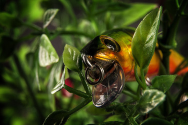 Similar image 6445061