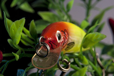 Similar image 6445062