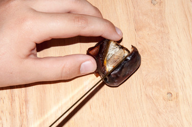 Similar image 6445114