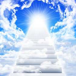 Similar image 6445384