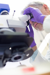 Similar image 6445475