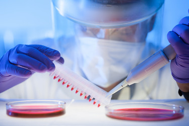 Similar image 6445480