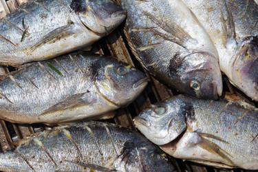 Similar image 6445540