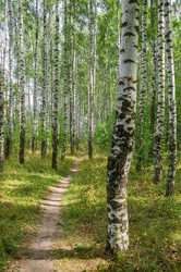 Similar image 6445737