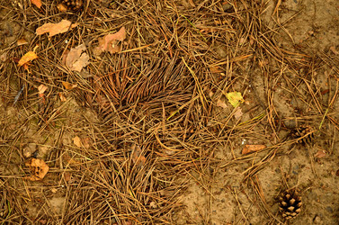 Similar image 6445739