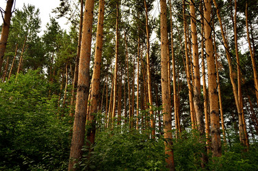 Similar image 6445740