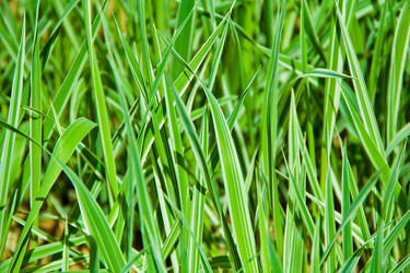 Similar image 6445848