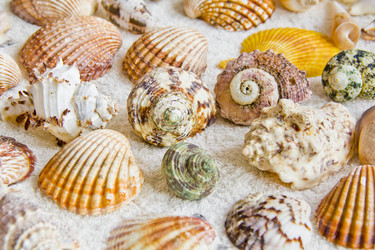 Similar image 6445857