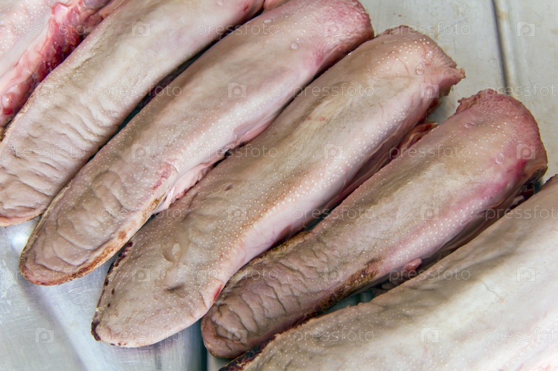 Сырой свиной язык с пряностями и зеленью на тарелку. Премиум Фото