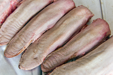 Similar image 6445859