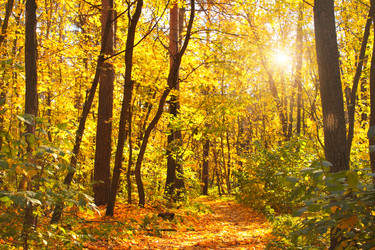 Similar image 6445886