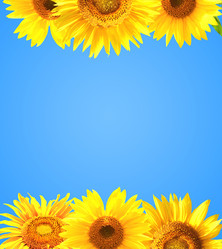 Similar image 6445893