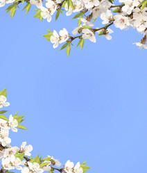 Similar image 6445894