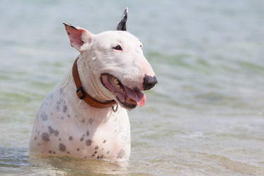 Similar image 6445970