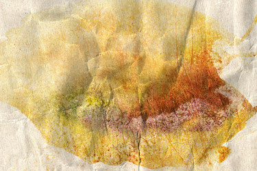 Similar image 6446120