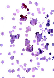 Similar image 6446227