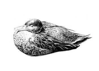 Similar image 6446234