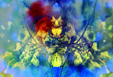 Similar image 6446258