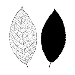 Similar image 6446631