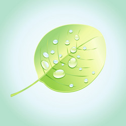 Similar image 6446647