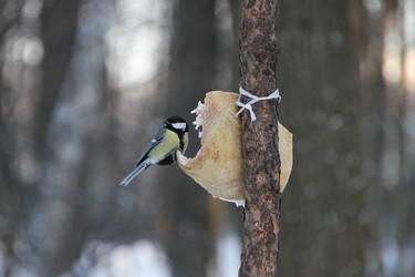 Similar image 6446920