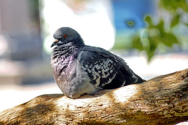 Similar image 6446922