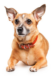 Similar image 6446932