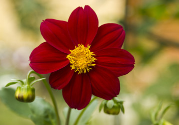 Similar image 6446944