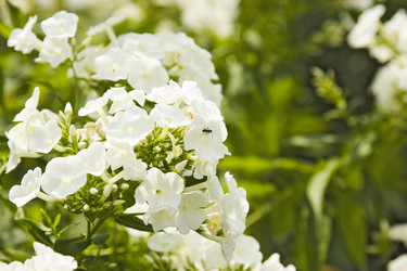 Similar image 6446945