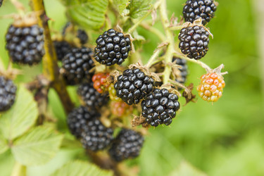 Similar image 6446946