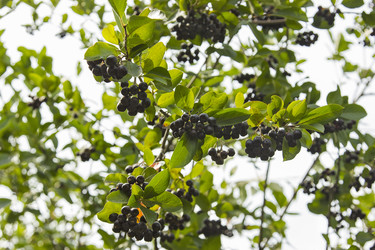 Similar image 6446947