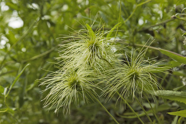 Similar image 6446948